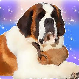 Play Saint Bernard Pet Care