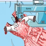Beauty Laundry