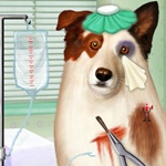 Doctor For Dog