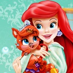 Ariel Pet Care
