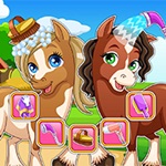 Horse makeover hair salon