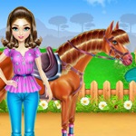 Horse Care And Riding